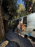 Morning Moments at the Caravan