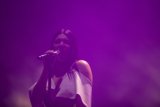 Purple Haze Performance