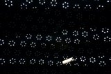 Illuminated in the Dark
