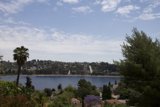 A Serene Summer View