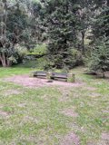Serene Seating