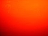 Red on White