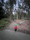 Into The Wild: A Childhood Adventure