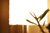 Illuminating Décor