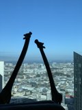 The Birds of Metropolis