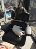 Double Trouble on the Armchair
