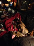 Cozy Nap Time on the Couch