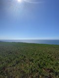 Serene Landscape in Jenner