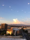 Golden Hour in the Urban Jungle