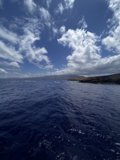 Serenity on the Alalakeiki Channel