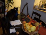 The Feline and the Fruit Bowl