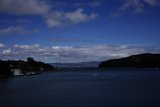 Sailing Serenity in Tiburon
