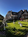Skeletons on the Lawn