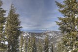 Winter Wonderland