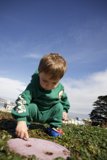 Exploring Nature's Majesty: A Day at Francisco Park