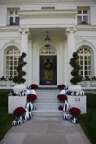 The Regal White Mansion of San Francisco.