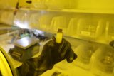 Gloved Hand Holds Small Object in UCLA Quantum Nano Lab