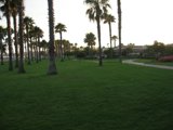Serene Summer Haven