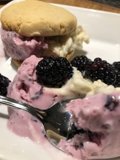 Berry Delicious Dessert Duo