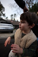 Young Boy Gazing Upward on Sunday Walk
