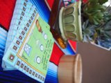 Plant and Card on Table