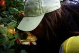 Blooming Adventures at the Botanical Garden
