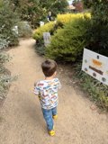 Strolling Through Nature's Path