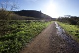 Journey Through Marin Headlands Hill 88: Unpaved Expanses