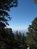 Mountain Majesty