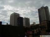 The Urban Jungle of Los Angeles