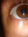 Brown-Eyed Baby