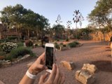 Capturing Nature's Beauty
