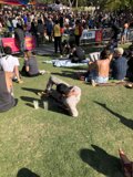 Down on the Grass