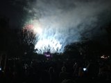 Spectacular Fireworks Show at Disneyland