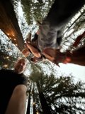 Twilight in the Redwoods