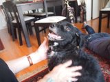 Relaxing with Man's Best Friend