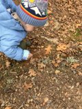 Little Explorer's Winter Adventure.