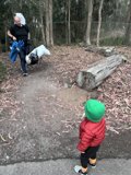 Whispers from Nature - A Day in Presidio