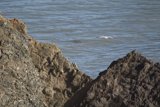 Flight Over the Promontory
