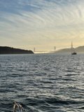 Sailing under the San Francisco Bridge