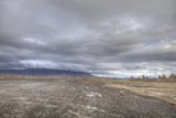 Bleak Beauty