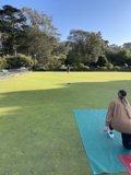 Relaxing Day at the Golf Course