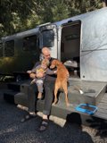 Morning Companions in Guerneville