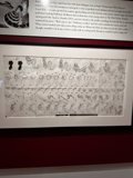 Avian Artistry on Display