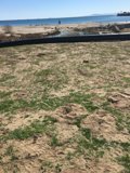 Rolling Hills
