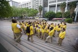 Yellow Jackets on the Sidewalk