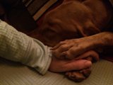 A Peaceful Nap