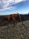 Descent Trail