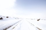 Winter Wonderland