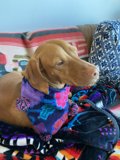 Colorful Scarf on a Cozy Couch